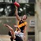 286405-tlssmallthumbnail.jpg